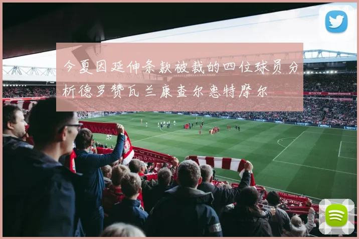 今夏因延伸条款被裁的四位球员分析德罗赞瓦兰康查尔惠特摩尔