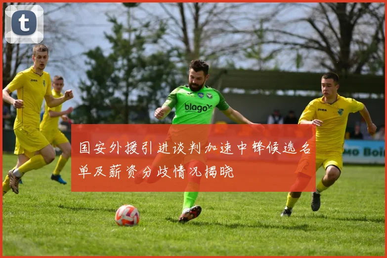 国安外援引进谈判加速中锋候选名单及薪资分歧情况揭晓