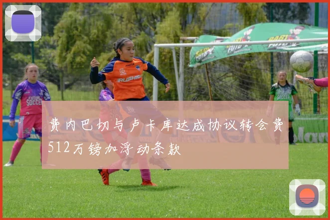 费内巴切与卢卡库达成协议转会费512万镑加浮动条款